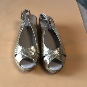 NWOB Changes Gold Wedge 8M